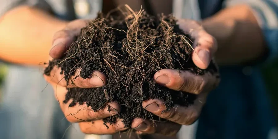 Illustrative image of Organic soil management in Boise Idaho
