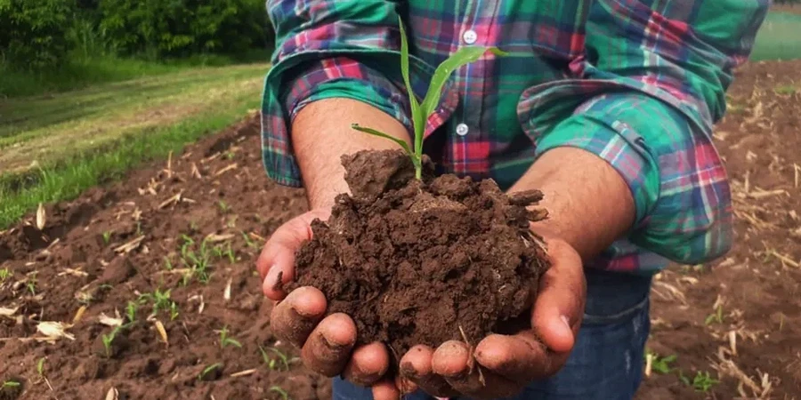 Illustrative image of Residual soil characterization in Boise Idaho